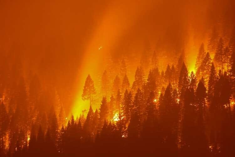 World heading for 2.4C of warming after latest climate pledges -analysts