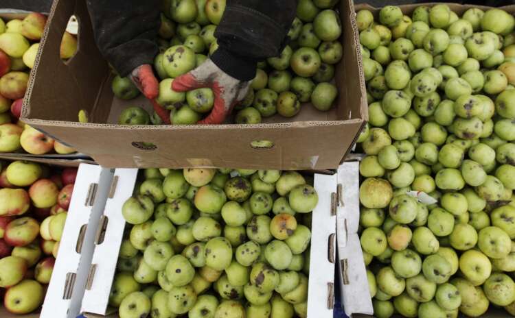 Russian inflation accelerates to 7.61% m/m in March, highest since 1999