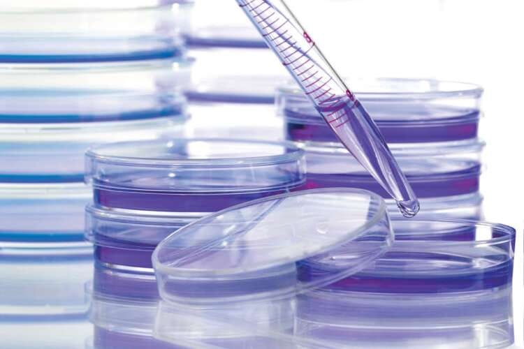 Cancer coalition aims to boost access to medicines in poorer countries