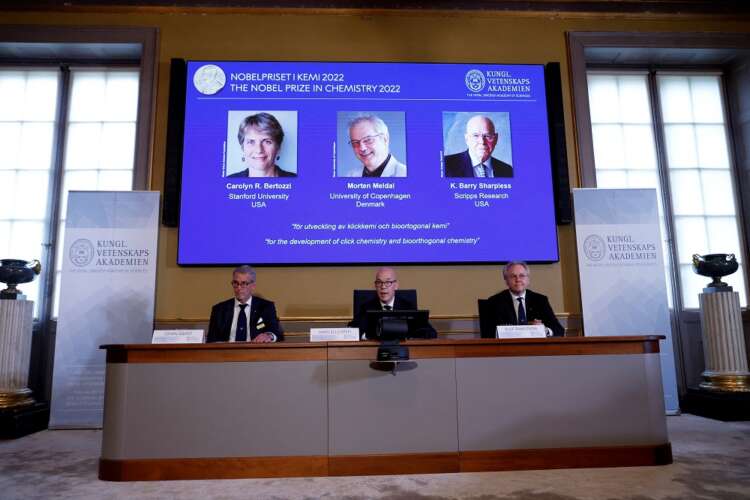 Nobel prize goes to pioneers of Lego-like &#8220;click chemistry&#8221;