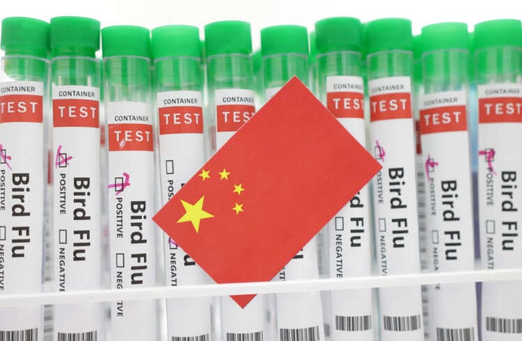 China records world&#8217;s first human death from H3N8 bird flu -WHO