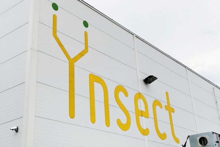 France&#8217;s Ynsect to refocus bug business after capital increase