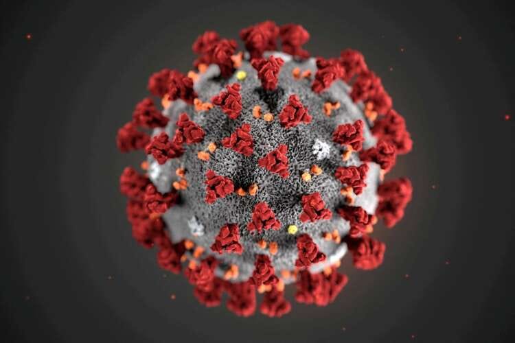 WHO declares end to COVID global health emergency