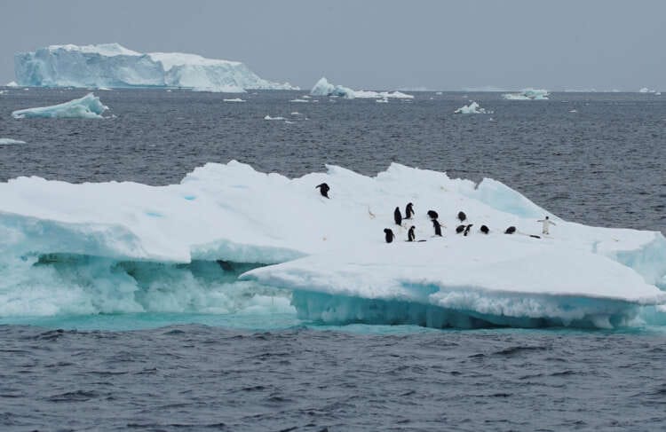 No quick fix to reverse Antarctic sea ice loss as warming intensifies &#8211; scientists
