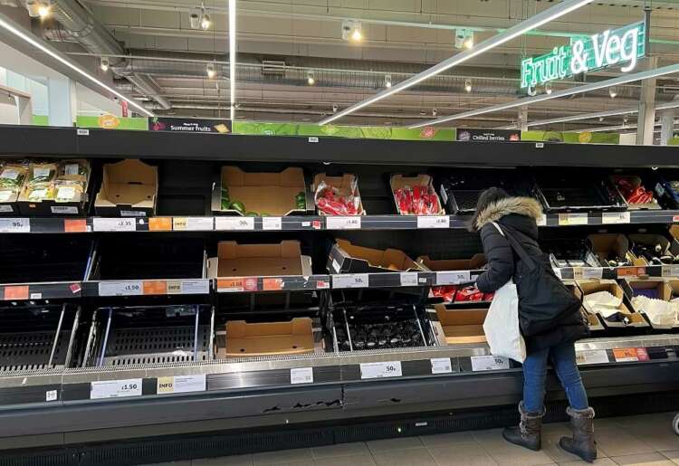 UK supermarket sales growth slows after summer holidays