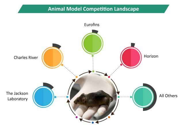 Research and Technological Innovations to Bolster Developments in Animal Model Market