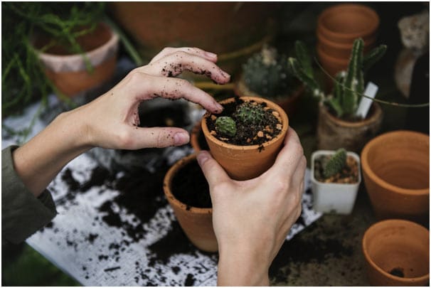 How a garden can boost your property value