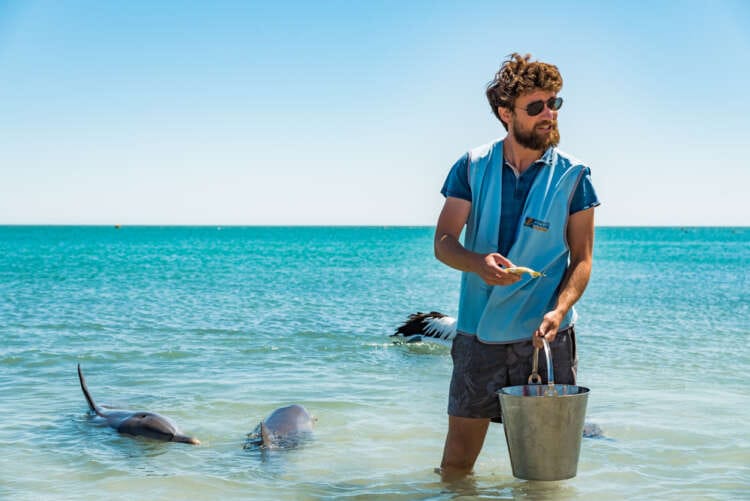 Best Paying Jobs In Water Supply