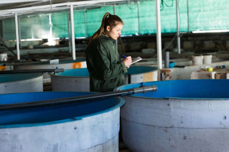 Best Paying Jobs In Water Supply