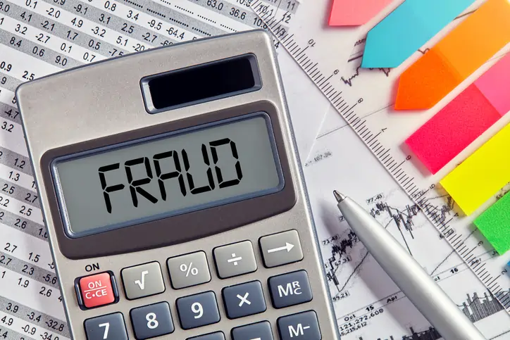 How businesses can defeat corporate fraud and save money: Inside Magda Metreveli’s innovative control methodology
