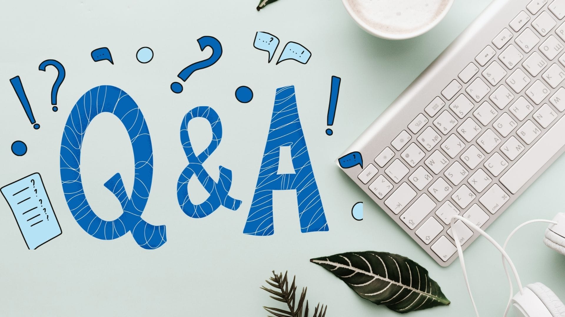 Q&#038;A: Hristian Nedyalkov