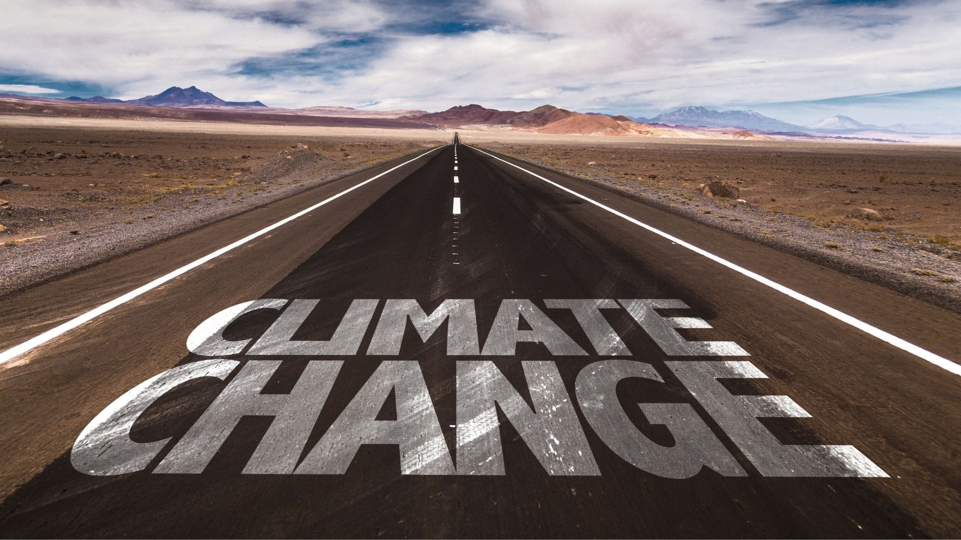 C-suite, now’s the time to take decisive action on climate change; here’s how.