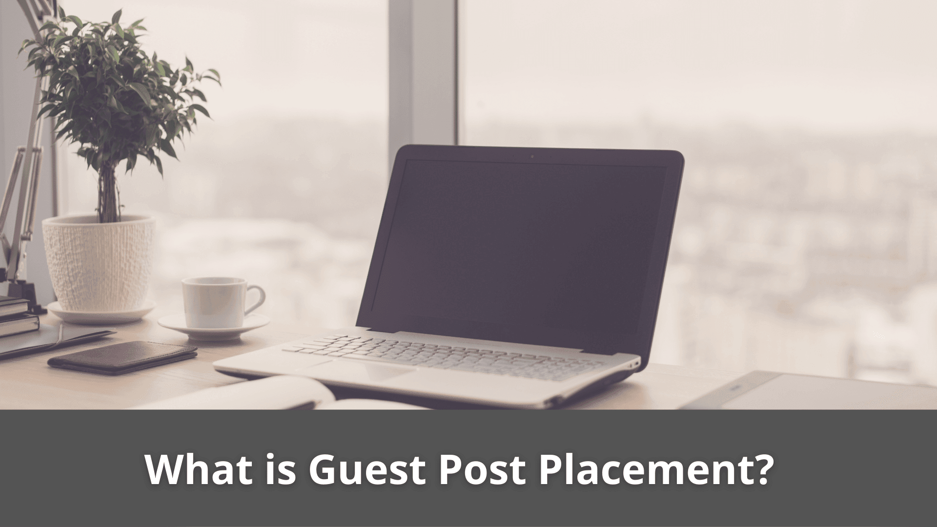 What is Guest Post Placement?