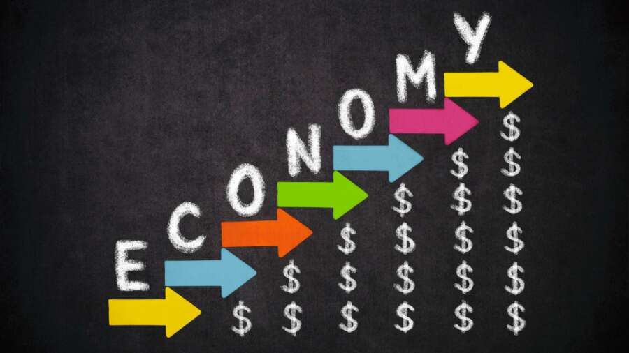 What is a Mixed Economy?