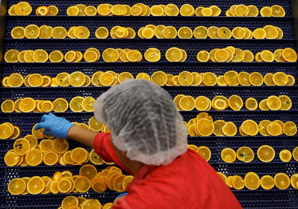 Analysis-UK crisis forces &#8216;off kilter&#8217; businesses to halt investment