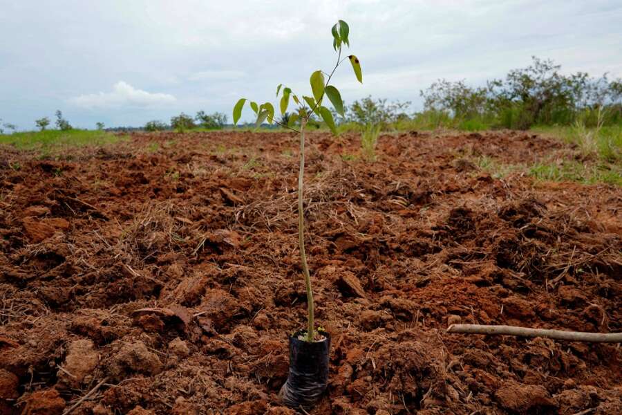Explainer-What&#8217;s on the agenda at the U.N.&#8217;s COP15 nature summit?