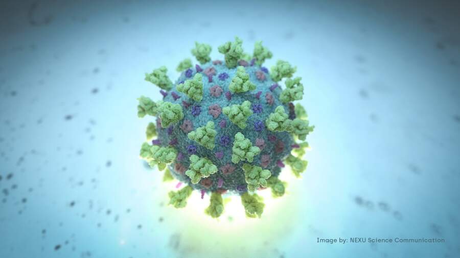AstraZeneca antibody cocktail study shows success treating COVID-19
