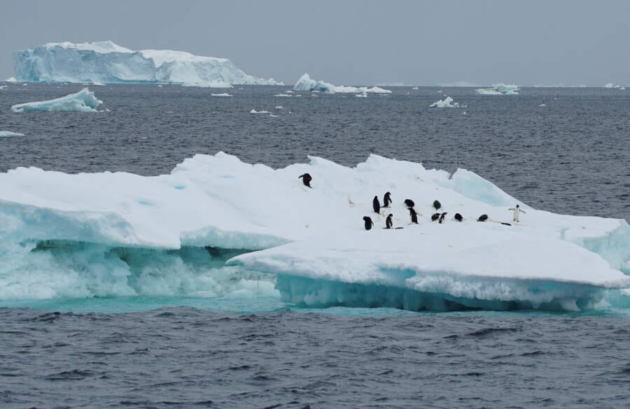 No quick fix to reverse Antarctic sea ice loss as warming intensifies &#8211; scientists