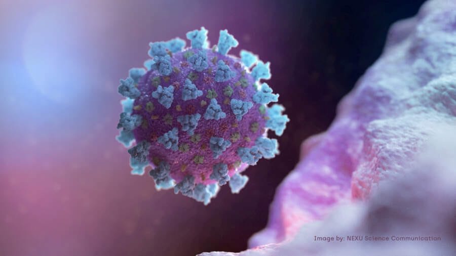 England confirms 34 COVID cases linked to highly mutated variant &#8211; UKSHA