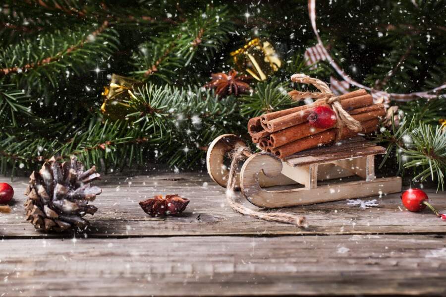 Major logistics companies safeguarding in preparation for the Christmas rush