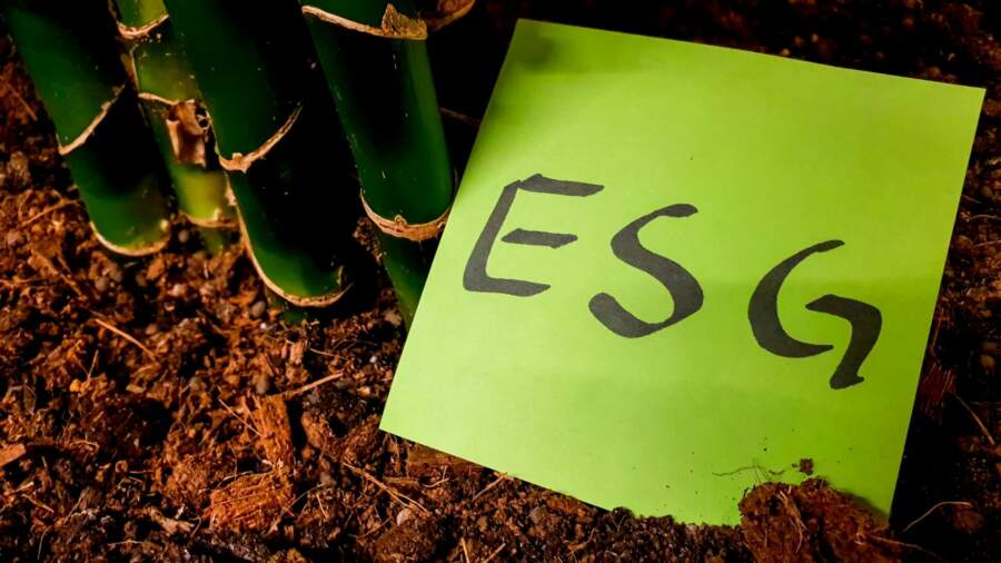 Seven competencies that successful ESG leaders need