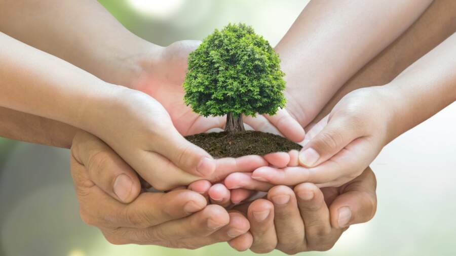 Taking steps towards sustainability – recognising procurement as the lever for change