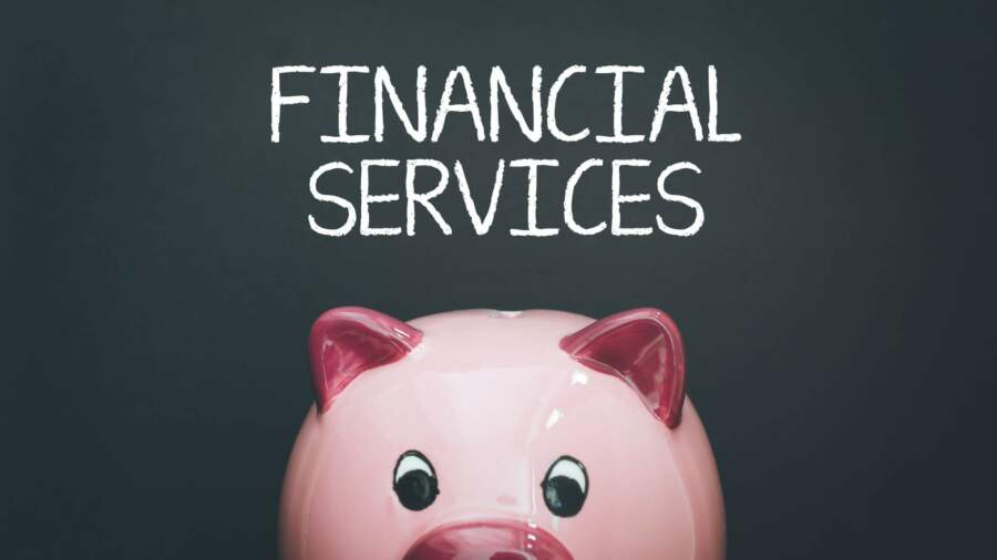 Who Can Benefit From Professional Financial Services?