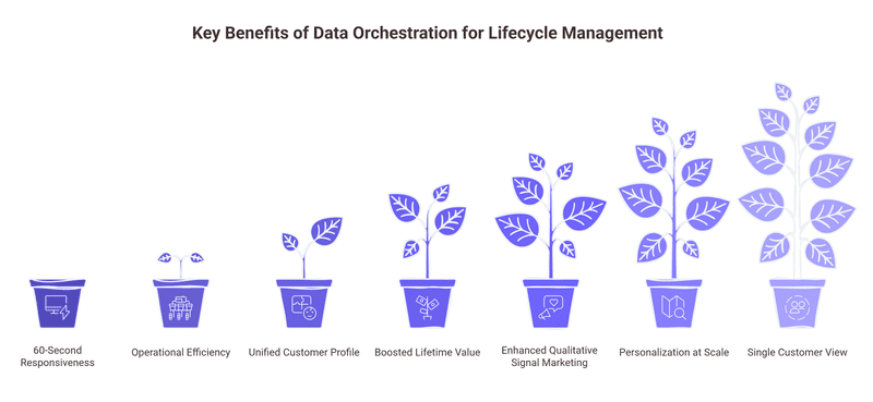 Key Benefits of Data Orchestration for Lifecycle Management