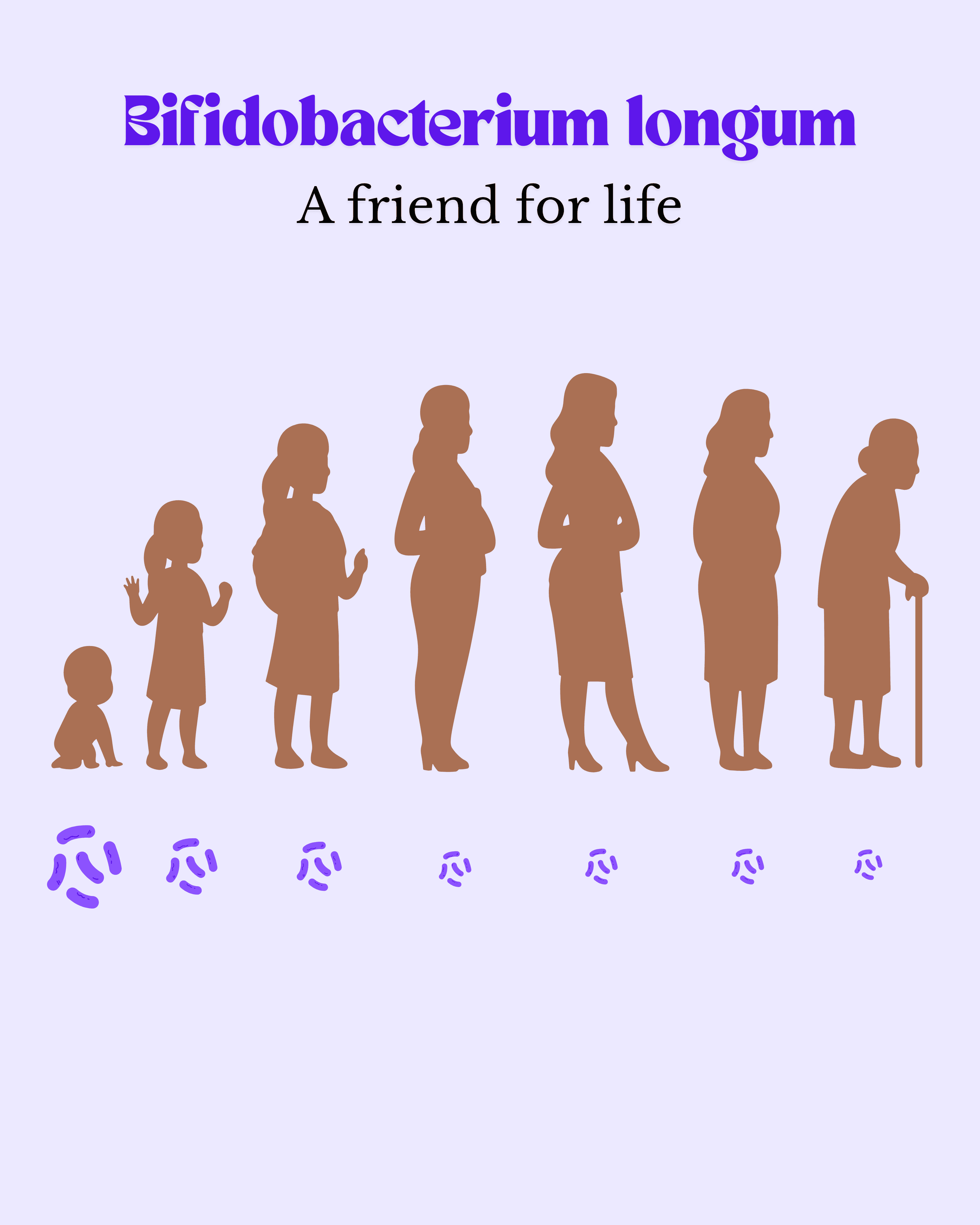 Representation of decrease of Bifidobacterium longum with age