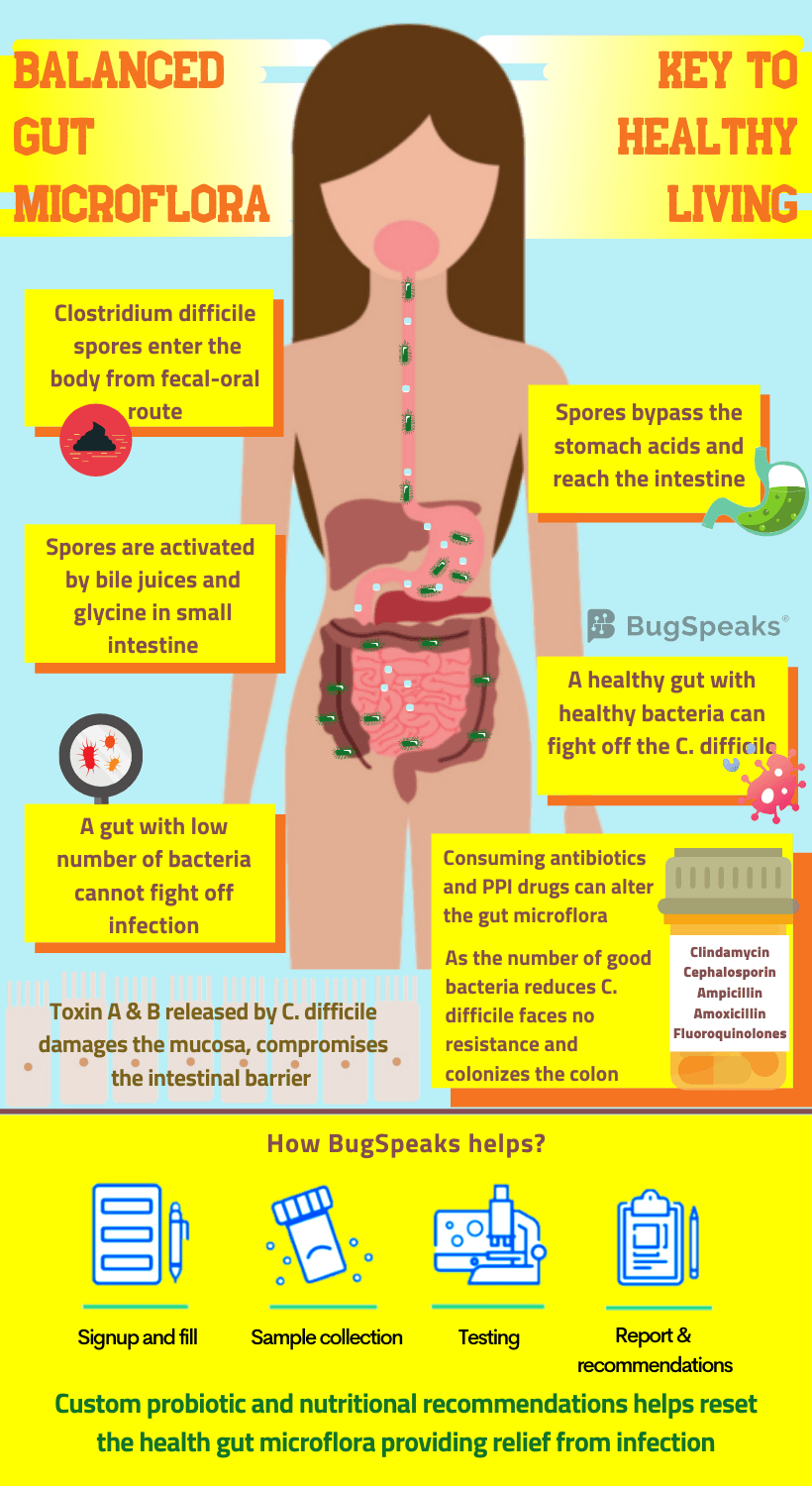 C. difficile infection: Managed through Gut Microflora Manipulation