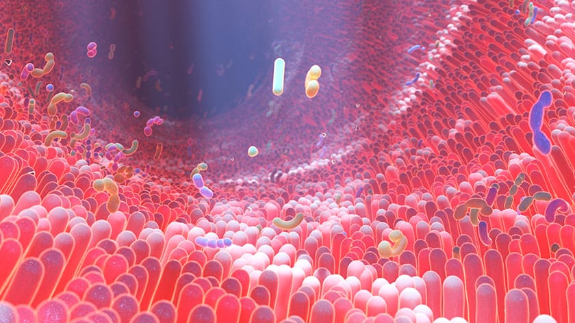 Gut Microbiota Analysis for Diagnosing and Treating Diseases