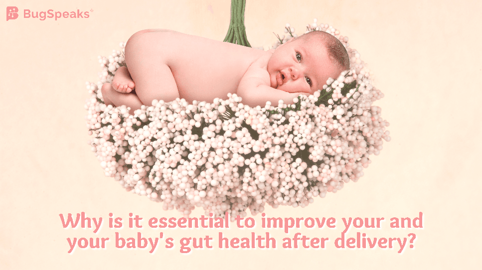 Postpartum Gut Health: A Guide for New Mothers