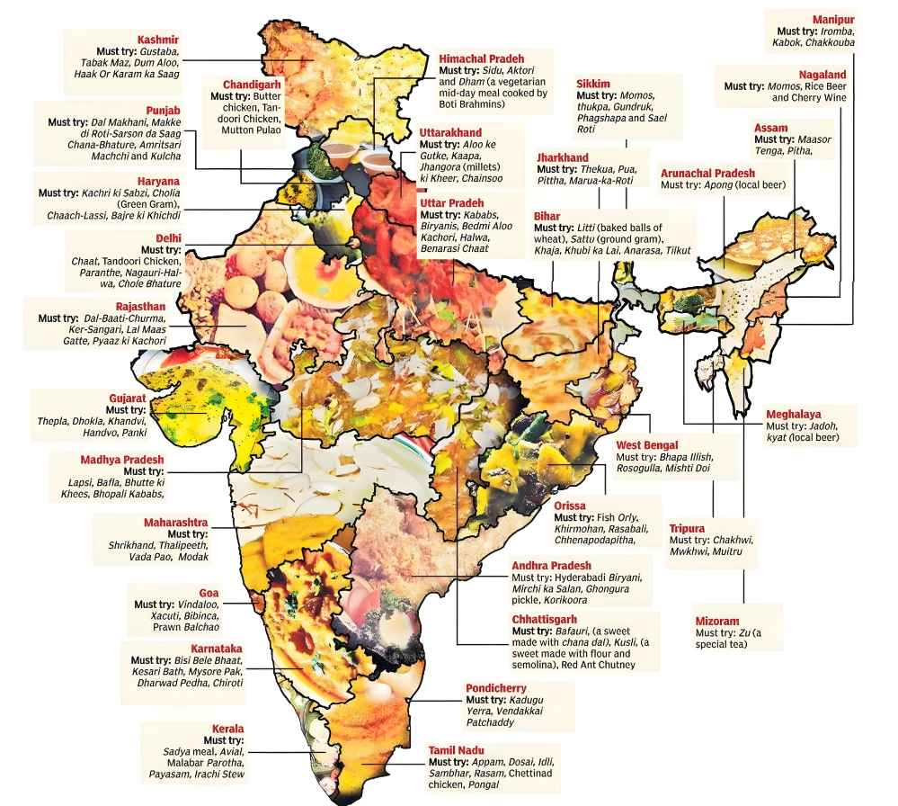 Unity in Every Bite: A Culinary Exploration of India's Gut Diversity