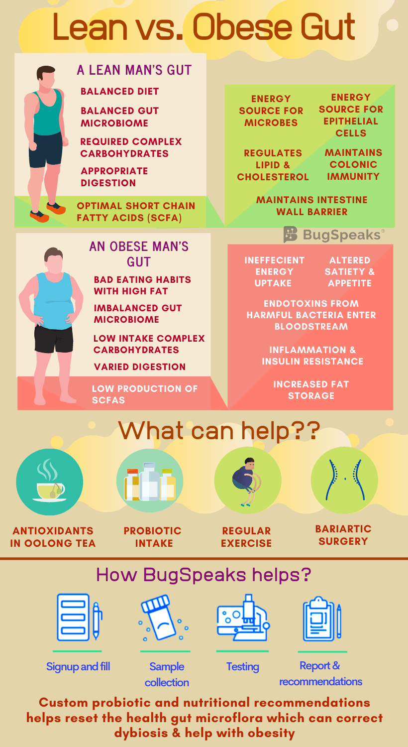 Being Chubby - Mark of Affluence or Aberration?