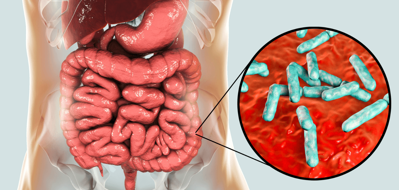 The Hidden Dangers of an Imbalanced Gut Microbiome