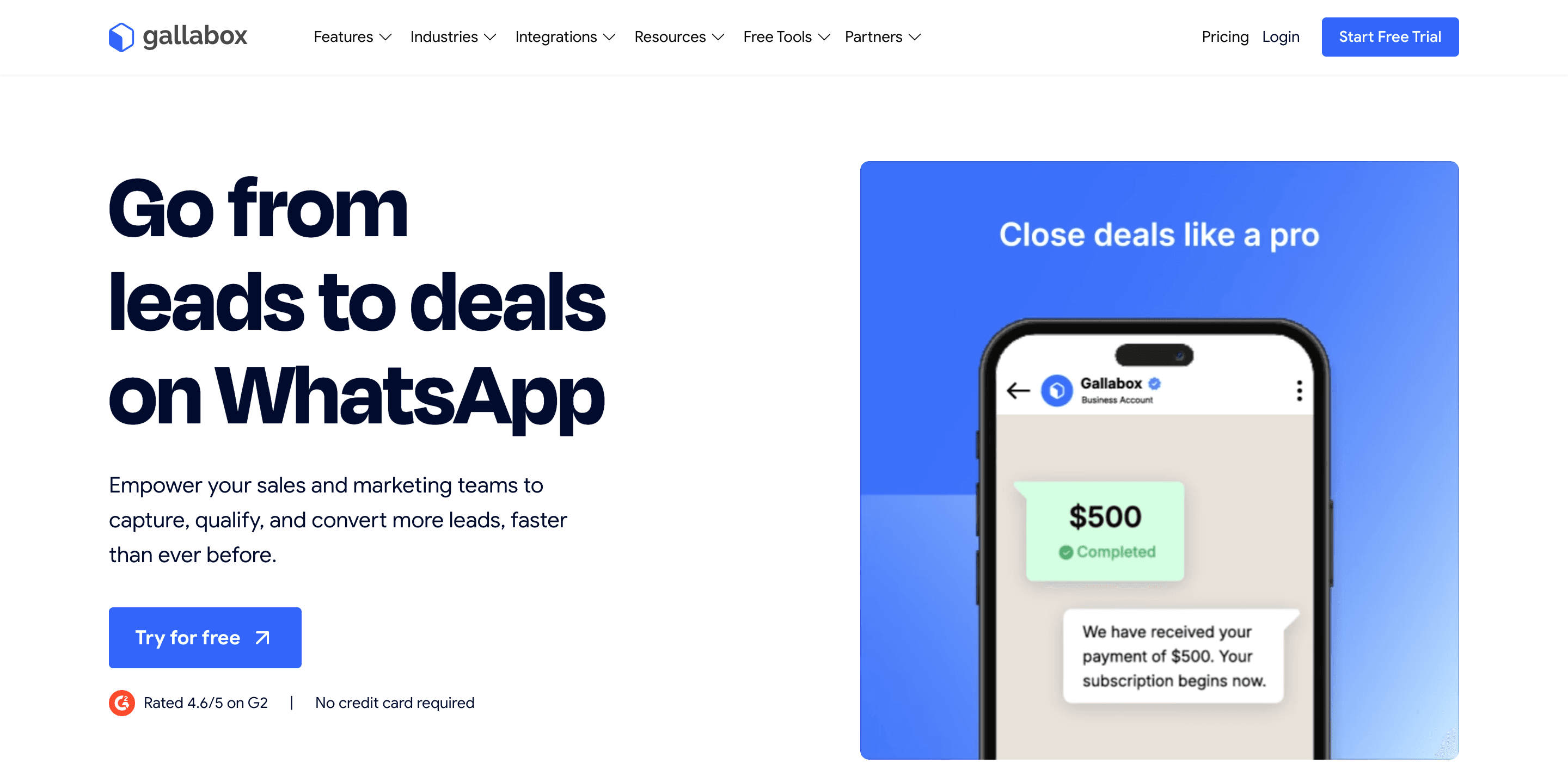 Best WhatsApp marketing tool - Gallabox