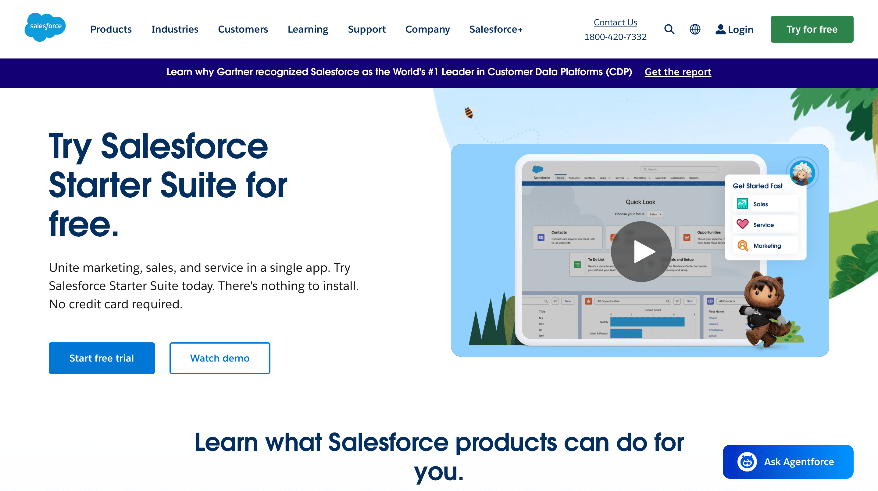 Top Customer Service Software - Salesforce