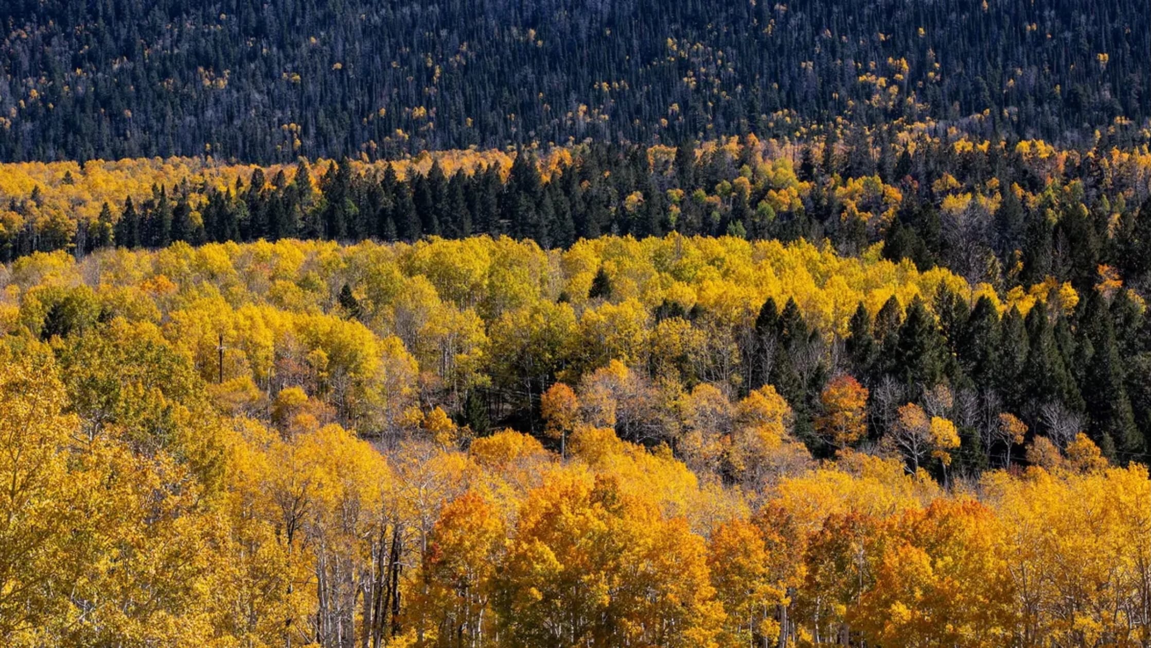 Image credit: George Rose via Getty Images