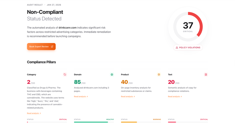 Meta Health and wellness audit report